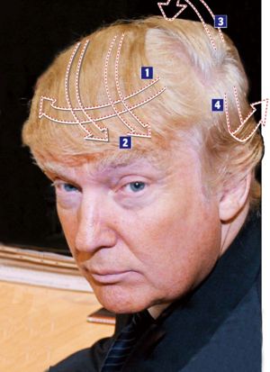 donald trump haircut. With the Donald in the running