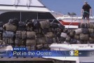 180 floating bales of marijauna found in the ocean.
