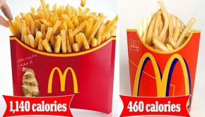 fries