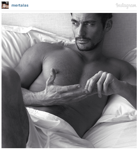 Pillow tweets Pillow tweets: Hot naked celebrities via W magazine will make you salivate.