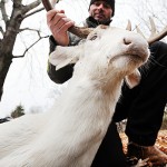 Jerry Kinnaman, deer hunter gets death threats after posting pictures of rare albino buck on Facebook