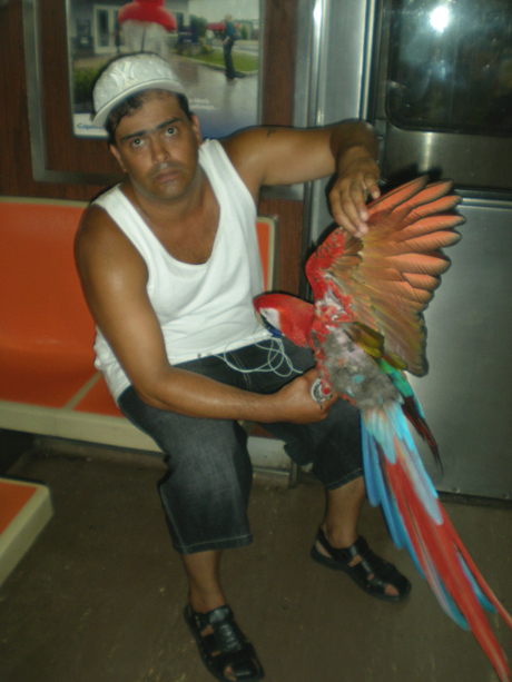 Parrot Man On G Train 2