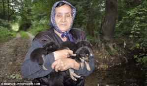 Bosnian Grandmother Claims To Have Rescued The Litter Of Puppies Thrown Into A River