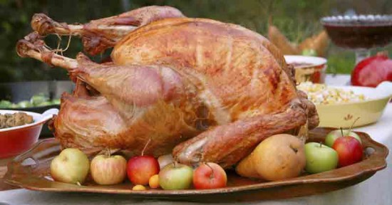 turkey dinner turkey dinner
