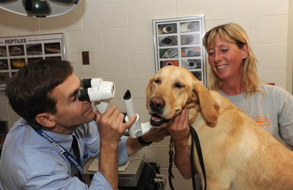 Veterinary school