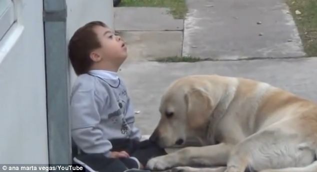 Labrador plays with down syndrome boy