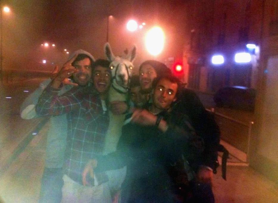  Drunk French teens steal llama