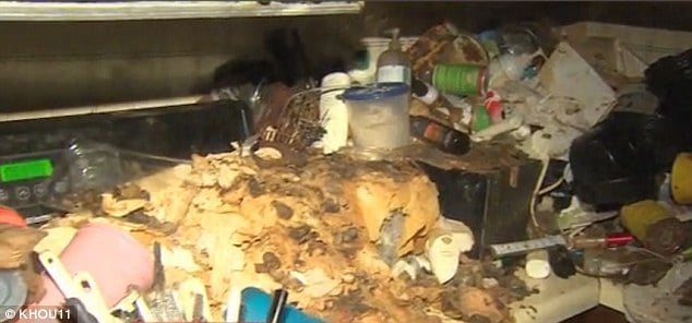 130 cats rescued from home of 60 year old twin sisters