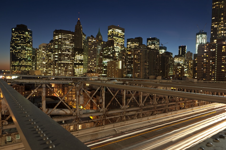 Manhattan Bridge dweller