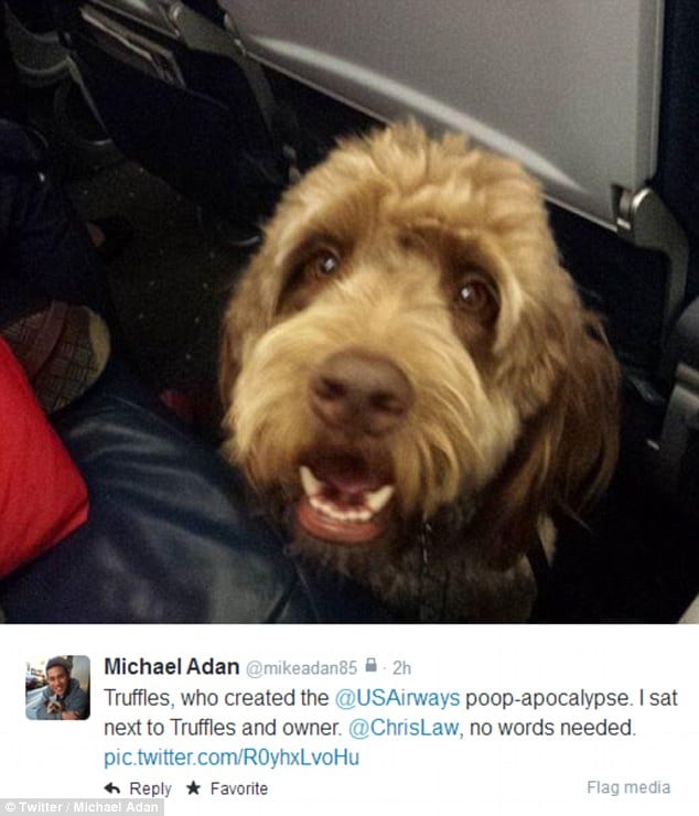 US Airways flight 598 emergency lands after service dog poops