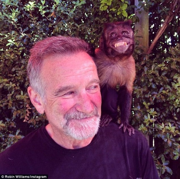 Robin Williams AA meetings