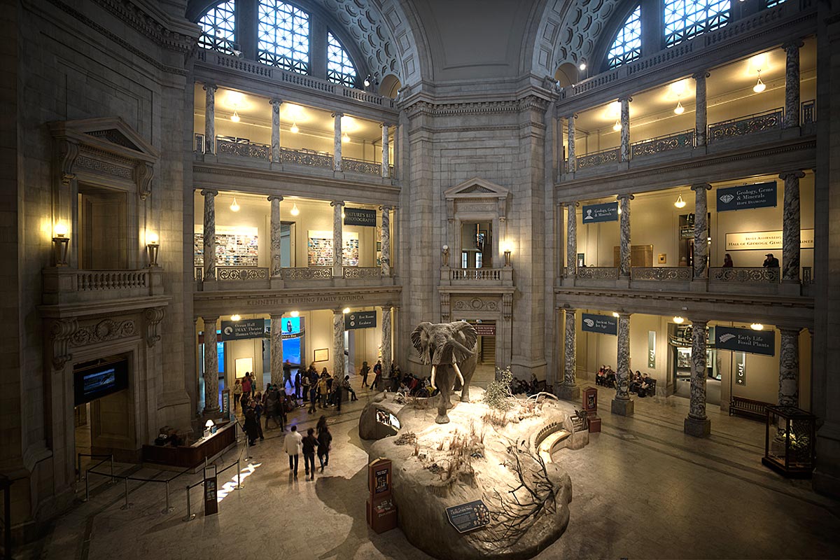 Smithsonian national museum of natural history