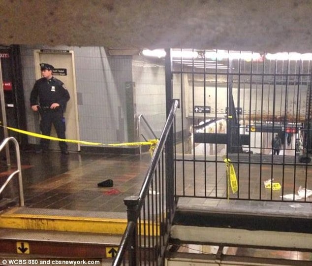  Retired Corrections officer fatally shoots subway rider