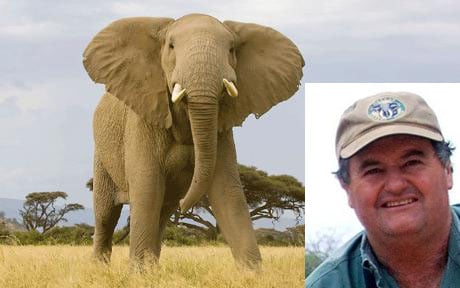 Ian Gibson trampled by elephant
