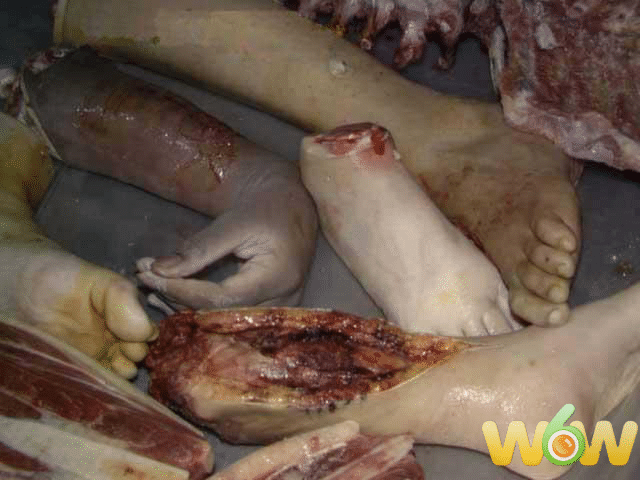 Nigerian restaurant closed down for serving human flesh