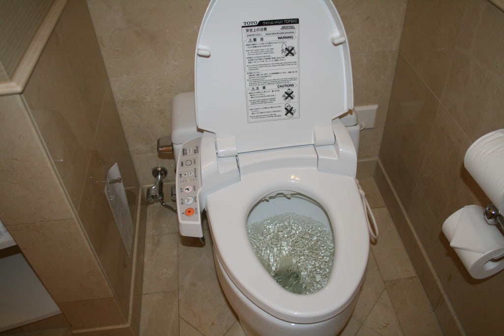 Japanese man flushes dead wife’s ashes down toilet