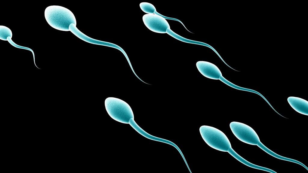 South African man raped at gunpoint by three women so they could collect his sperm