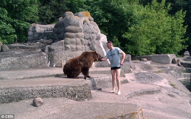 Polish zoo bear enclosure