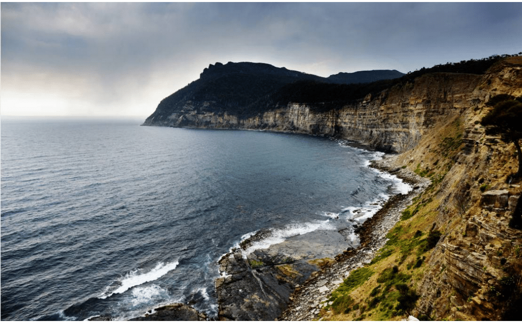 Tasmania shark attack