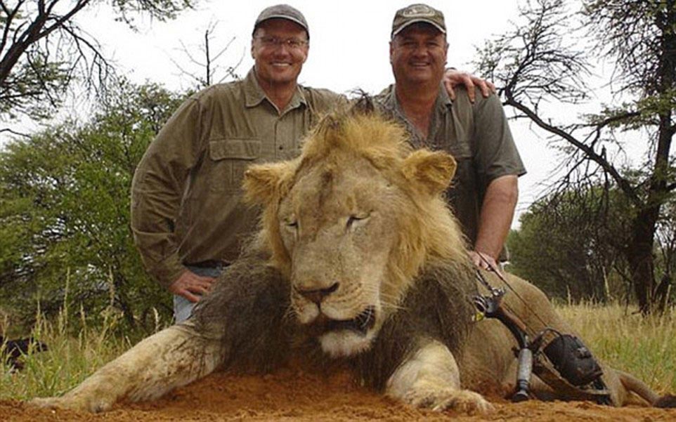 Walter Palmer Cecil lion hunter 