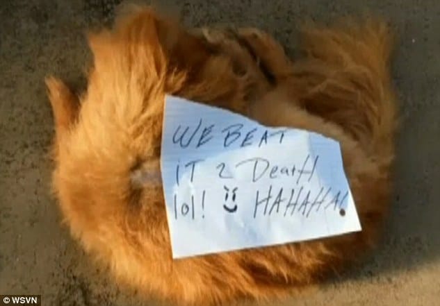 Pomeranian dog beaten to death with note
