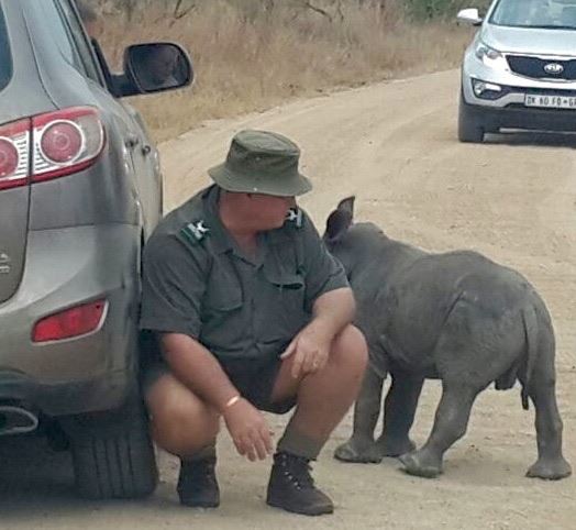 Orphaned baby rhino 