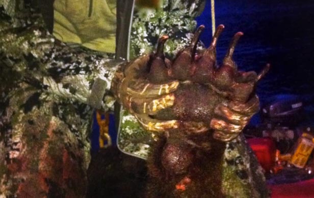 Clayton Stoner, NHL player posing dead bear’s head
