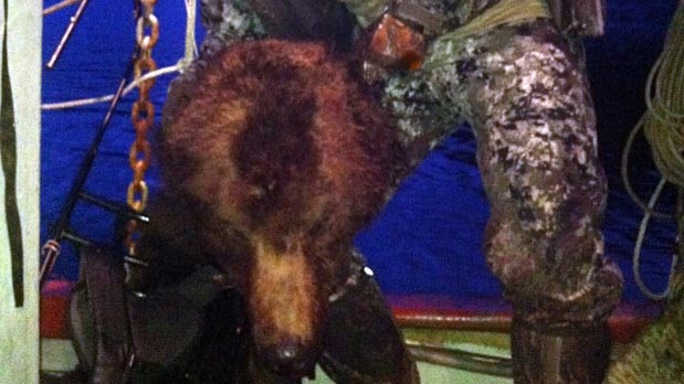 Clayton Stoner, NHL player posing dead bear’s head