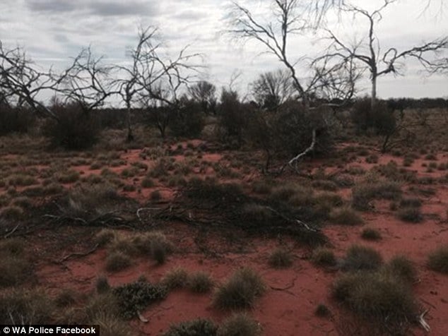 Reginald Foggerdy survives 6 days in the outback eating ants