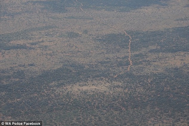 Reginald Foggerdy survives 6 days in the outback eating ants