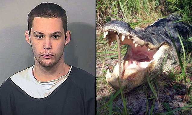 Matthew Riggins burglar eaten by alligator