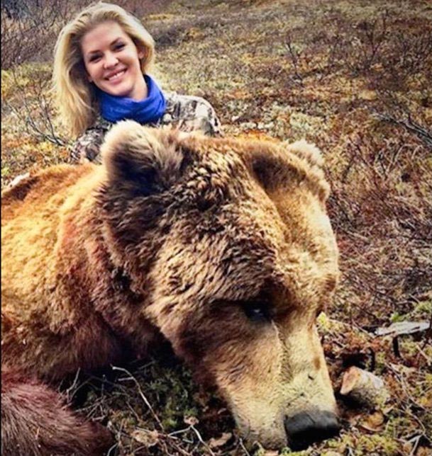 Theresa Vail former Miss Kansas illegally killed grizzly bear
