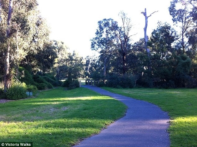 Severed Kangaroo head discovered cooking Melbourne bbq