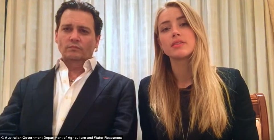 Johnny Depp and Amber Heard leniency video