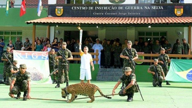 Brazil army Olympic mascot jaguar shot dead