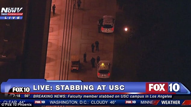 Why did Jonathan David Brown stab Bosco Tjan USC professor?