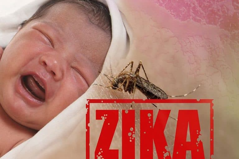 The Zika Virus Is Spreading Here’s How to Stop It