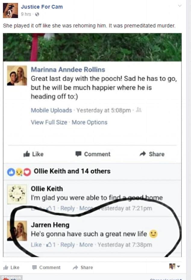 Marinna Rollins army vet Why I filmed myself shooting my service dog
