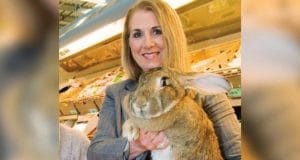 Simon giant rabbit United Airlines dead