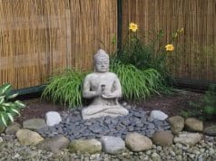 Creating home garden for meditation guide