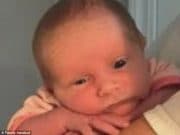 Susannah Jean Murray: 3 week old Grand Rapids baby mauled to death by pit bull Susannah Jean Murray