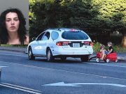 Alana Donohue idiot mom who towed her kids in red wagon pleads guilty Alana Donohue