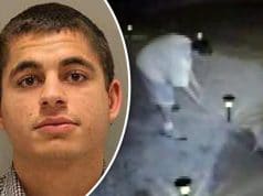San Jose Serial Cat Killer