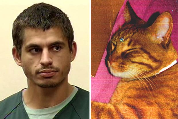 San Jose Serial Cat Killer