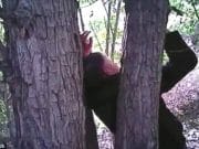 Jose Duran video: Nailed to a tree after a real estate deal gone wrong Jose Duran