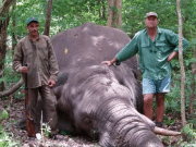Internet cheers: Jose Monzalvez Argentinian hunter killed by charging elephant (before getting off shot) Jose Monzalvez