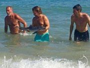 Spanish baby dolphin dies as beachgoers take fantastic selfies Spanish baby dolphin dies selfies