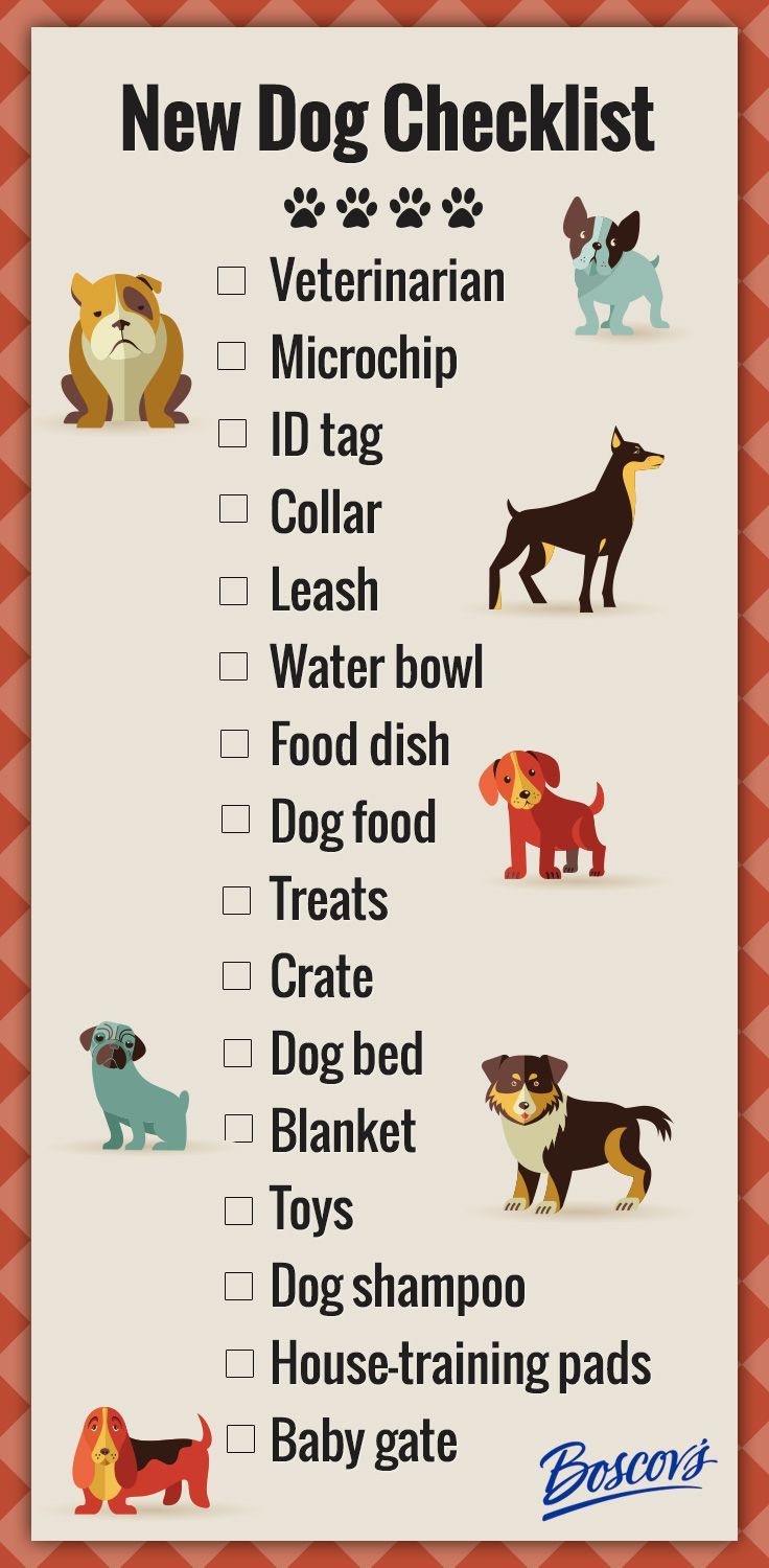 bring home puppy checklist