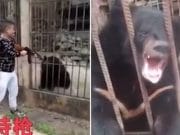 Watch: Chinese tourist shoots endangered bear ‘out of curiosity’ at Myanmar zoo Chinese tourist shoots Asiatic black bear