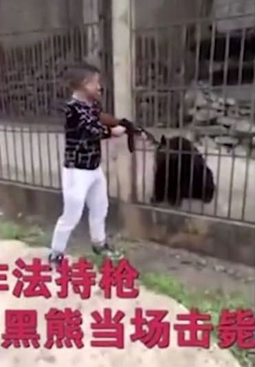 Chinese tourist shoots Asiatic black bear